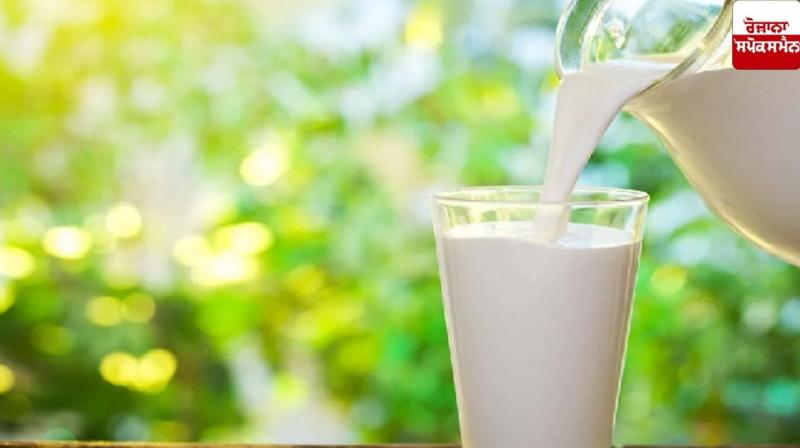 Drink cold milk in summer, there will be many benefits Health News Drink cold milk in summer, there will be many benefits Health News
