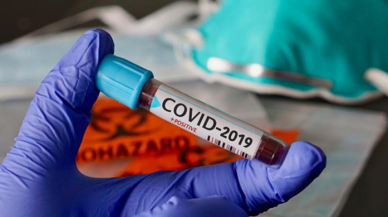 Corona virus Corona virus