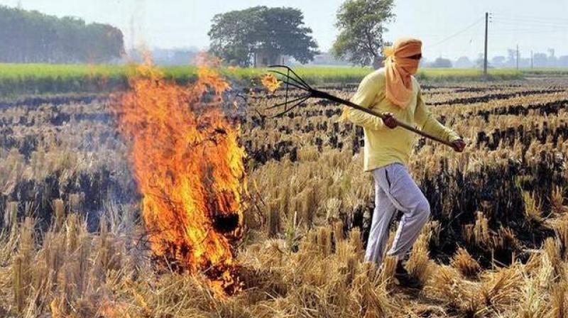 ਪਰਾਲੀ ਜਲਾ ਰਹੇ ਕਿਸਾਨ ਪਰਾਲੀ ਜਲਾ ਰਹੇ ਕਿਸਾਨ