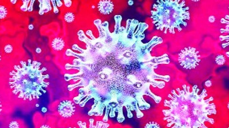 Coronavirus Coronavirus