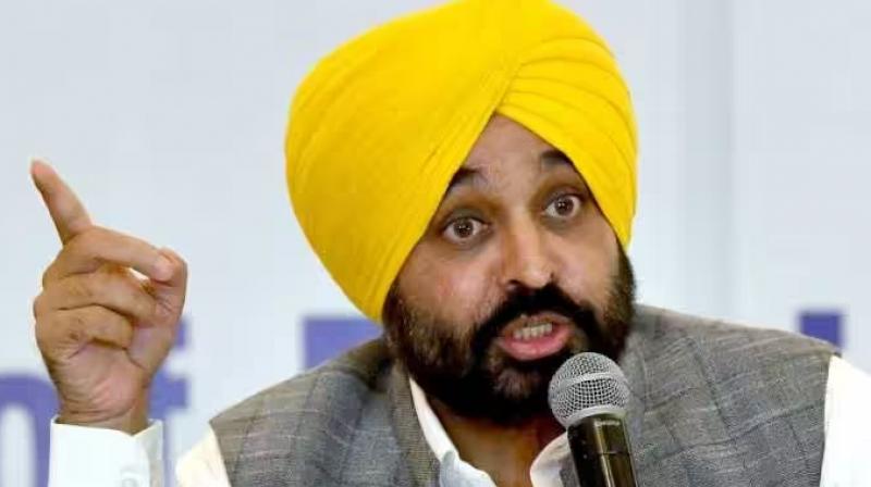 Big news: CM Bhagwant Mann ordered to close the Zeera liquor factory Big news: CM Bhagwant Mann ordered to close the Zeera liquor factory