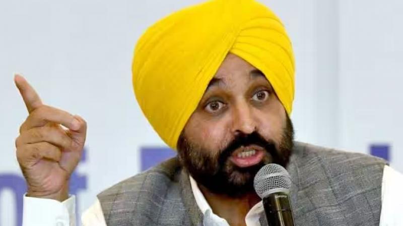 Big news: CM Bhagwant Mann ordered to close the Zeera liquor factory