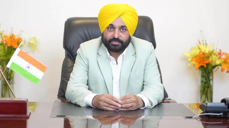 Paddy sowing will start from tomorrow, CM Mann appealed to the farmers Paddy sowing will start from tomorrow, CM Mann appealed to the farmers