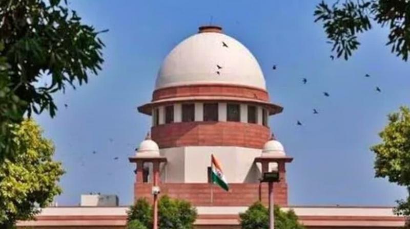 Supreme Court on plea to abort: We can't kill child in womb Supreme Court on plea to abort: We can't kill child in womb