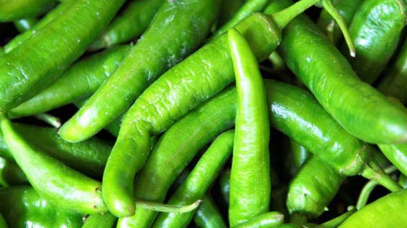 chilli chilli