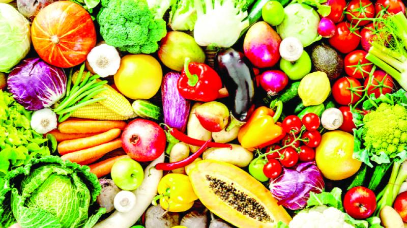 Vegetable Vegetable