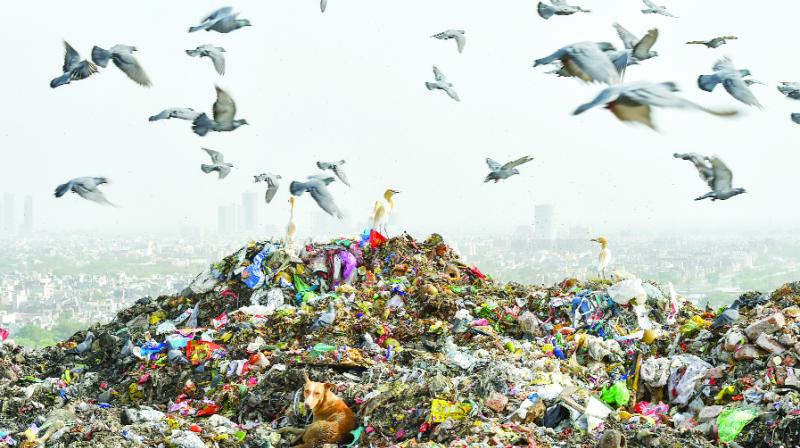 Garbage Mountain Garbage Mountain