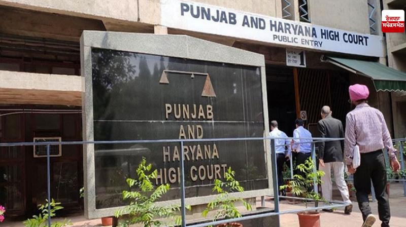 Punjab News: How long will it take to form a transgender welfare board?: High Court Punjab News: How long will it take to form a transgender welfare board?: High Court