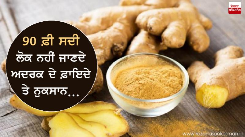 Ginger Ginger