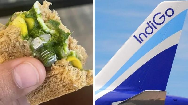 IndiGo passenger claims screw found in Sandwich IndiGo passenger claims screw found in Sandwich