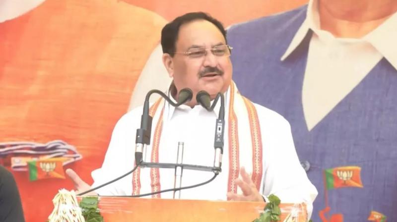 J. P. Nadda J. P. Nadda