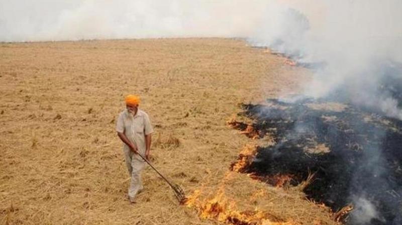 punjab stubble burning punjab stubble burning