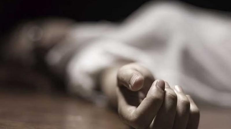 Old man died due to burning alive in Chandigarh News in punjabi Old man died due to burning alive in Chandigarh News in punjabi