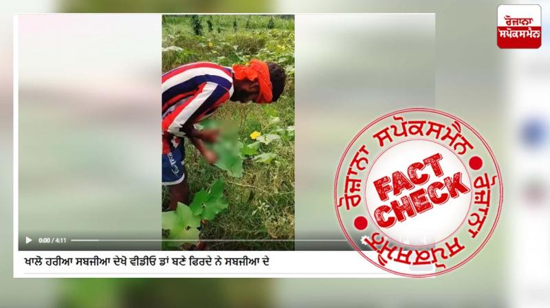 Fact Check Video of people growing vegetables by injecting is scripted drama Fact Check Video of people growing vegetables by injecting is scripted drama