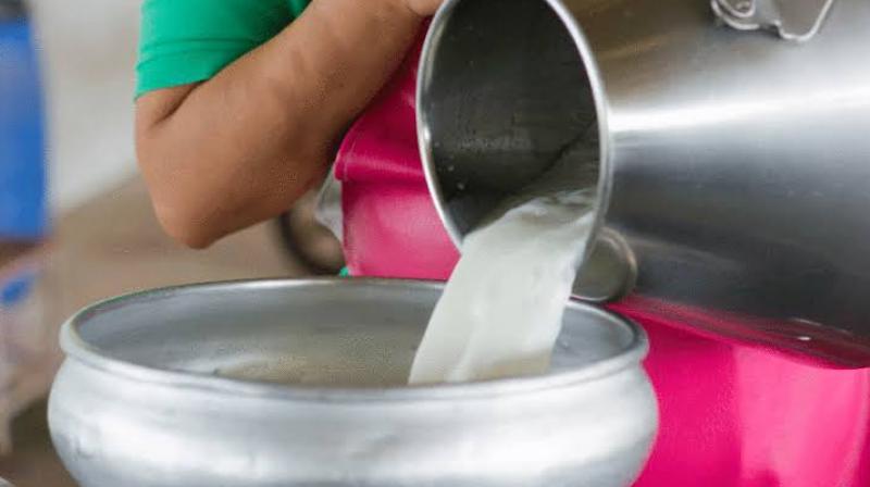 The sample of processed milk did not meet the standards The sample of processed milk did not meet the standards