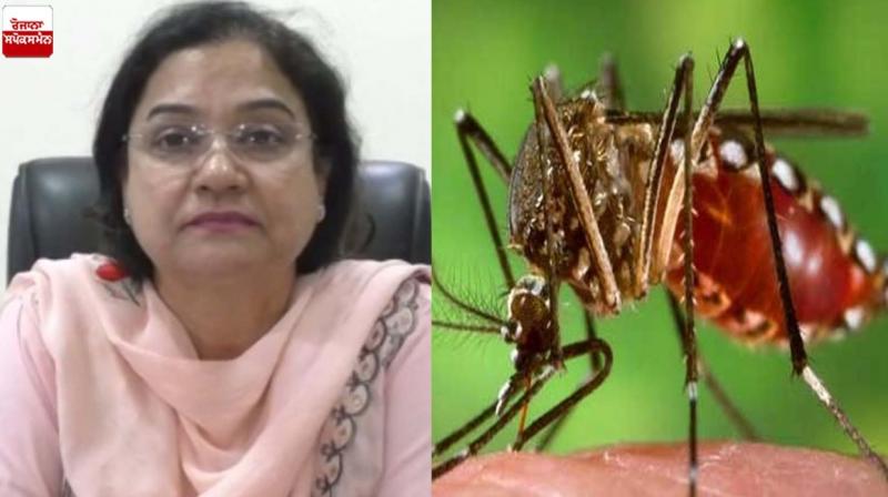 Dengue cases increased in Ludhiana Dengue cases increased in Ludhiana