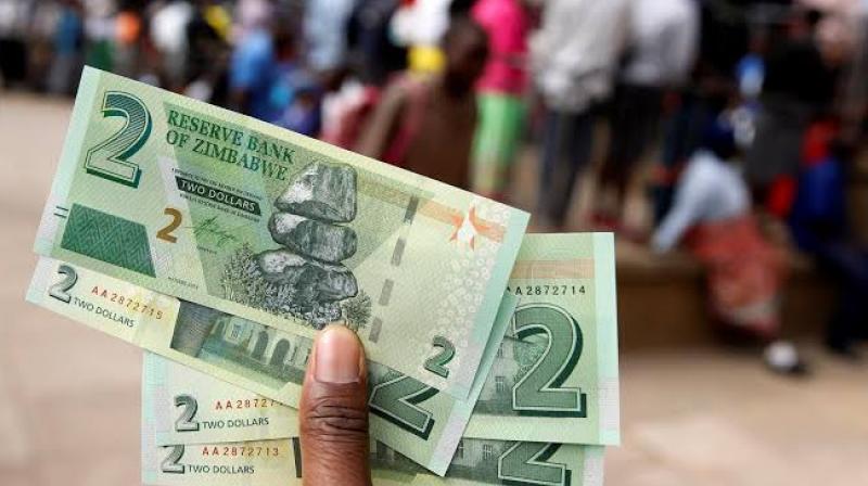 Long queues form in Harare as Zimbabwe releases new bank notes, coins