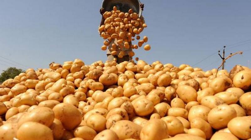 Potato Potato