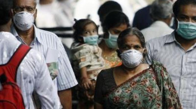 Swine flu Cases