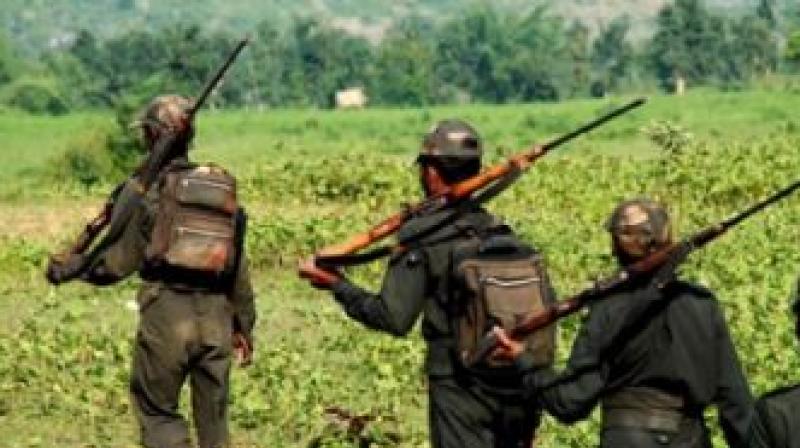 10 Naxals Neutralised 10 Naxals Neutralised