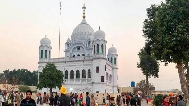 Dera baba nanak sri kartarpur sahib tomato ginger