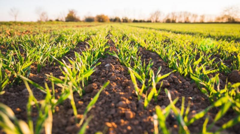 Organic farming Organic farming
