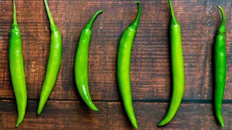 Green pepper is very useful for health Green pepper is very useful for health