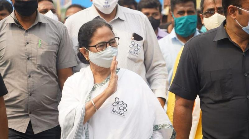Mamta Banerjee Mamta Banerjee