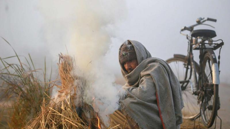  Severe cold will not fall in Punjab this time, the weather department has predicted this