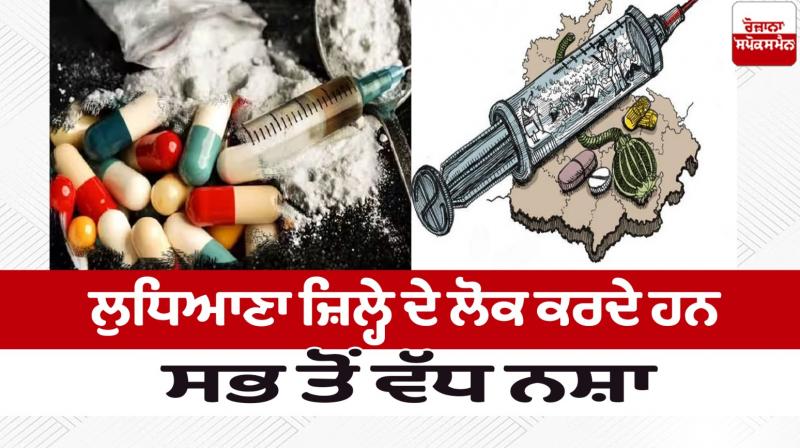 People of Ludhiana district do the most drugs News in punjabi 