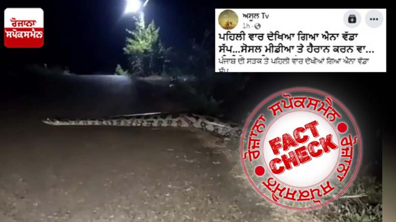 Fact Check Viral Video Of Snake Is Not From Punjab Amritsar
