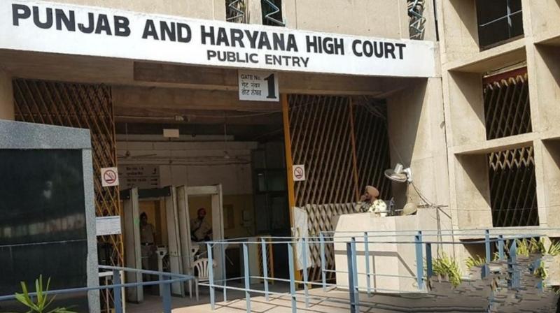 Punjab and Haryana High Court Punjab and Haryana High Court
