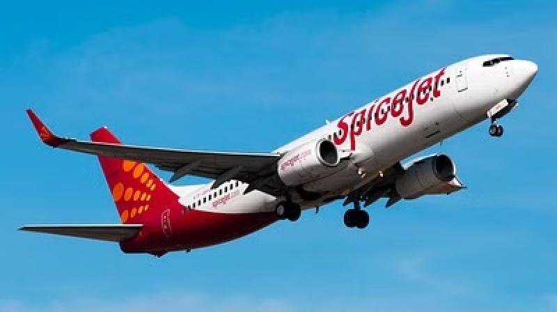 A female passenger died in the Spice Jet flight from Patna to Amritsar A female passenger died in the Spice Jet flight from Patna to Amritsar
