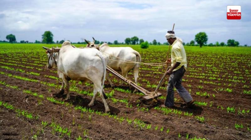 Haryana Government has constituted a high-level committee for a reasonable crop price policy. Haryana Government has constituted a high-level committee for a reasonable crop price policy.