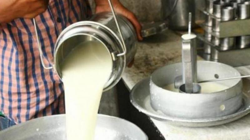MSP of cow and buffalo milk increased Himachal Pradesh News in punjabi 