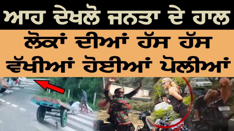Video Viral Video Viral