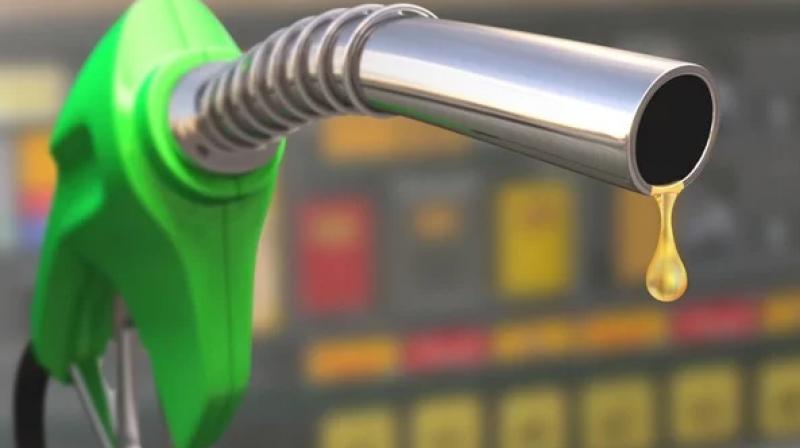 Petrol diesel price high by 8 paise per litre