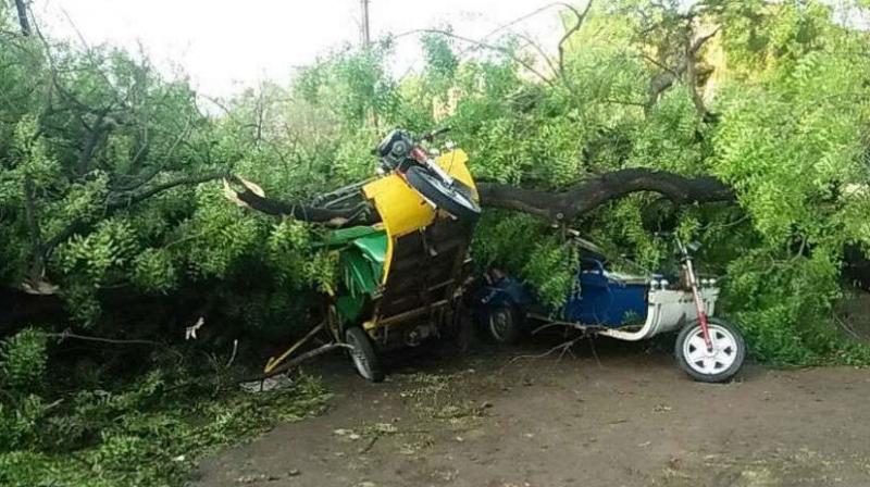 storm terror 3 people killed rajasthan storm terror 3 people killed rajasthan