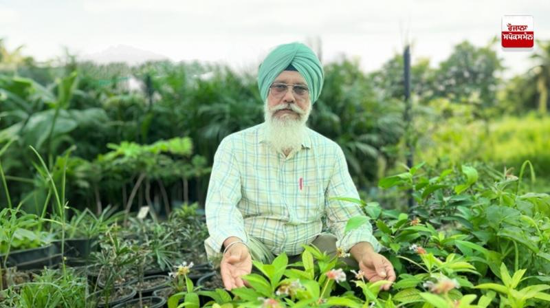 Retired teachers are giving the message of adopting crop diversification Retired teachers are giving the message of adopting crop diversification