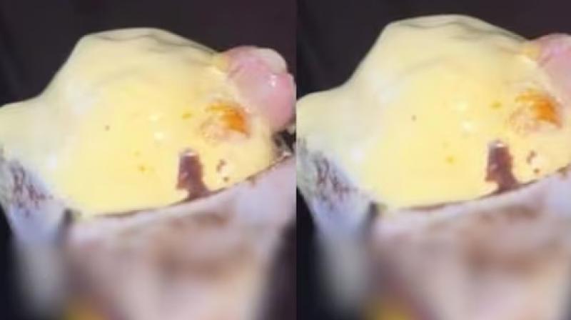 Severed finger sticking out of ice cream cone, person's senses blown Severed finger sticking out of ice cream cone, person's senses blown