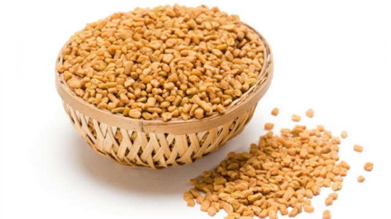 Fenugreek Seeds