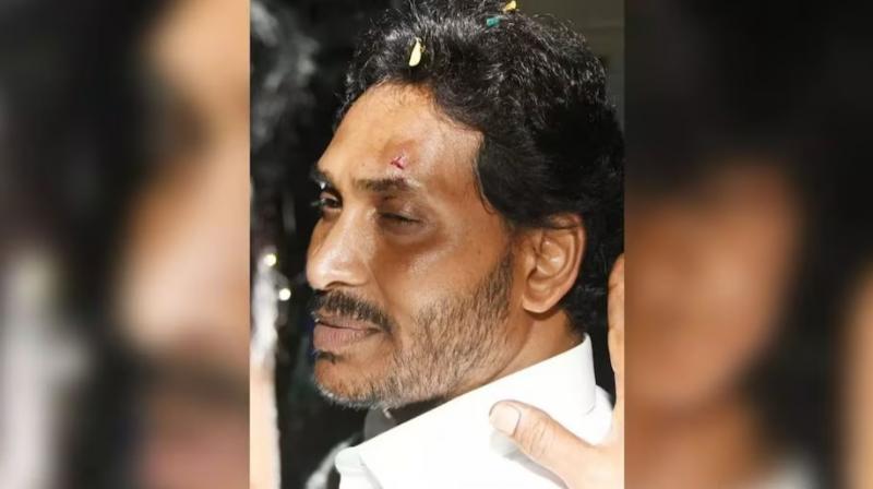 YS Jagan Mohan Reddy YS Jagan Mohan Reddy