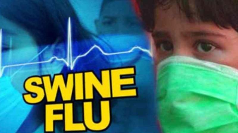 Swine Flu Swine Flu