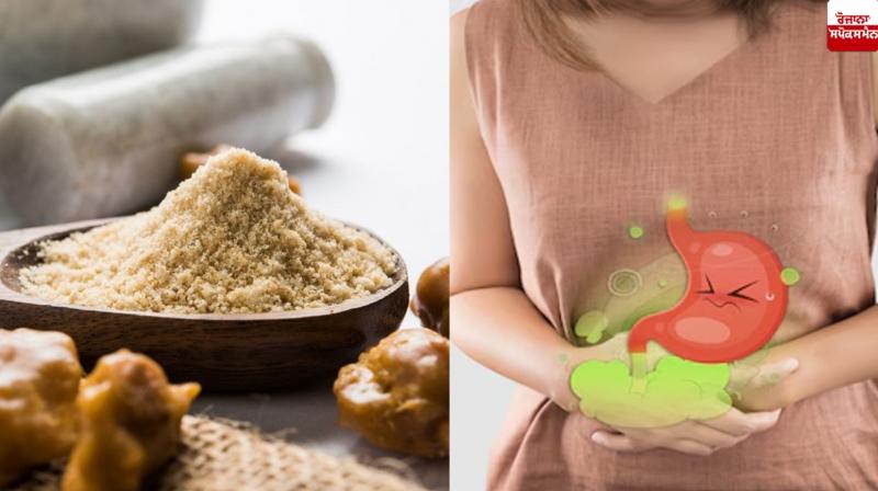 Consuming asafoetida on an empty stomach is very beneficial for health News Consuming asafoetida on an empty stomach is very beneficial for health News