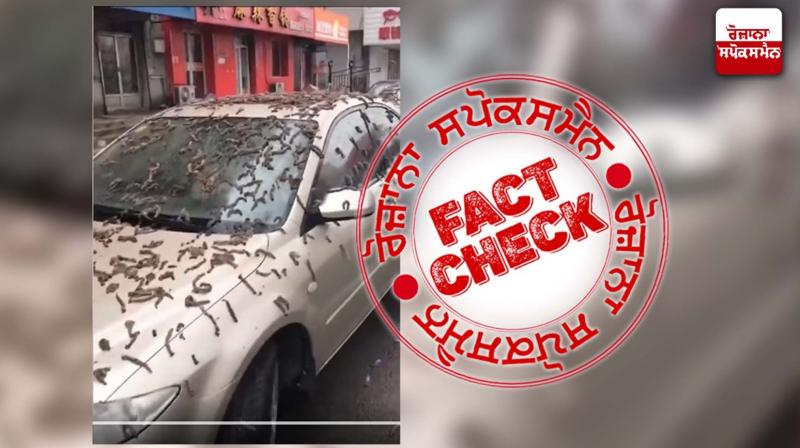 Fact Check Worm Rain In China? No, Viral Claim Is Fake Fact Check Worm Rain In China? No, Viral Claim Is Fake