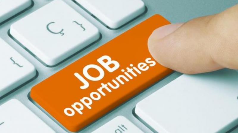 punjab announces vacancies of community health officer punjab announces vacancies of community health officer