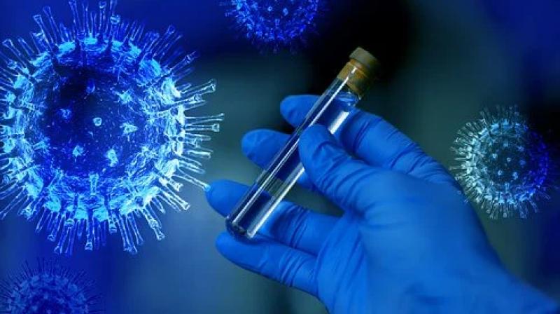 Coronavirus Coronavirus