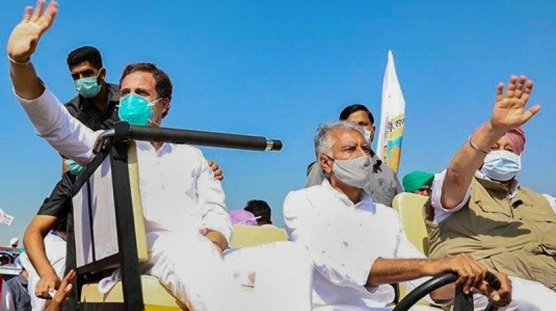 Rahul Gandhi Rahul Gandhi