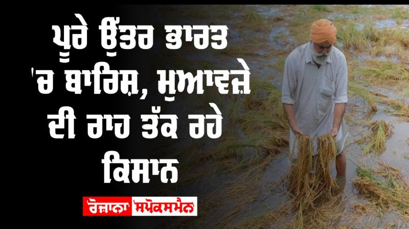 Punjab Farmer Agriculture Rain Crops Wheat Punjab Farmer Agriculture Rain Crops Wheat