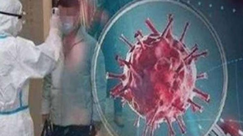 Corona Virus Corona Virus
